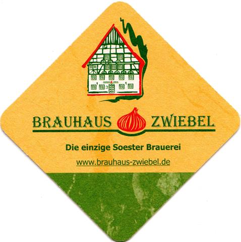 soest so-nw zwiebel raute 1a (185-das einzige soester)